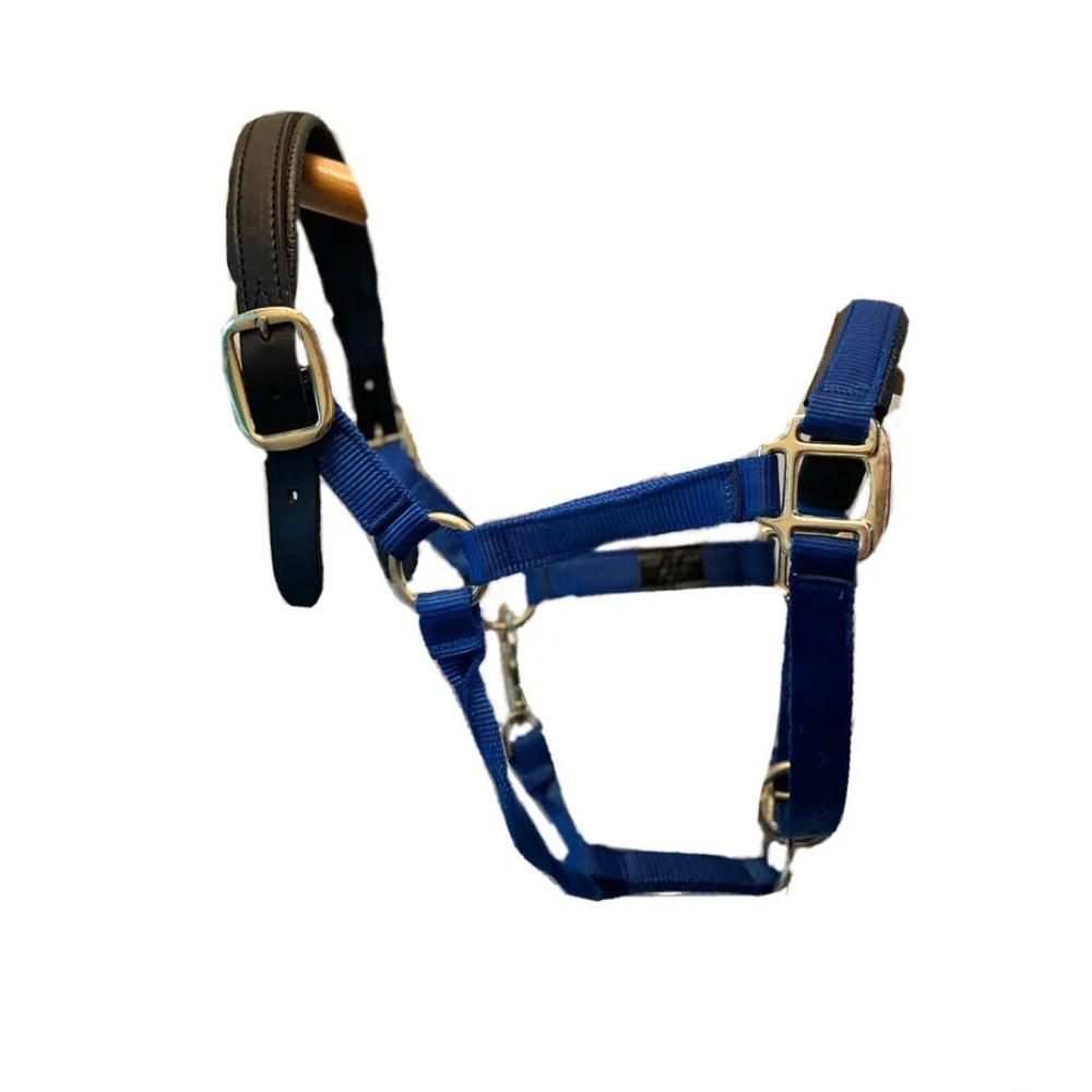 Royal Blue Nylon Adj Pony Halter w Clip